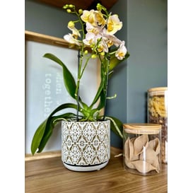 Slika 05.323.14 Posuda okruglog oblika 