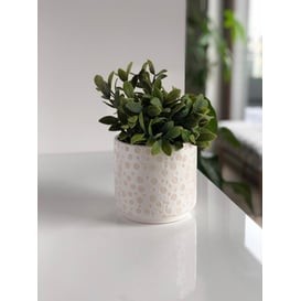 Slika 05.257.14 Posuda u obliku cilindrae - bijela