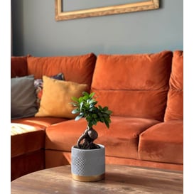 Slika 05.291.14 Posuda za biljke cilindar - siva/zlatna