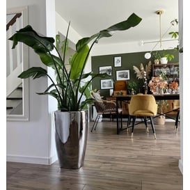 Slika 01.506. 57/61 Set od dvije posude četvrtastog oblika - srebrna