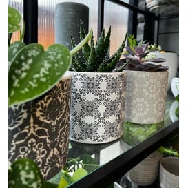 Picture of 35.059.14 Posuda okruglog oblika - MIX uzoraka