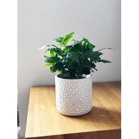 Slika 05.231.14 Posuda okruglog oblika - bijela