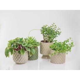 Slika 05.289.15 Posuda okruglog oblika - zelena