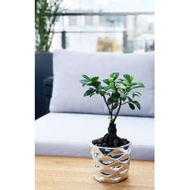 Slika 02.627.15 Posuda okruglog oblika - srebrna