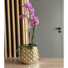 Slika 02.631.16 Posuda okruglog oblika - zlatna