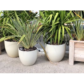 Slika 28.028.41 Velika posuda okruglog oblika sa podlogom - krem