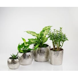 Picture of 48.030.13 Posuda okruglog oblika - srebrna