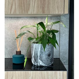 Slika 02.752.13 Posuda okruglog oblika - mramono crna 