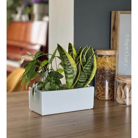 Slika 31.024.25 Posuda pravokutnog oblika - bijela