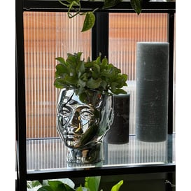 Slika 04.097.20 Posuda u obliku glave - srebrna