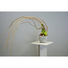 Picture of 05.164.14 Posuda u obliku jajeta - siva