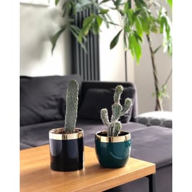 Picture of 09.143.13 Posuda okruglog oblika - zlatna/plava