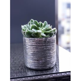 Slika 05.193.14 Posuda okruglog oblika - staro srebro