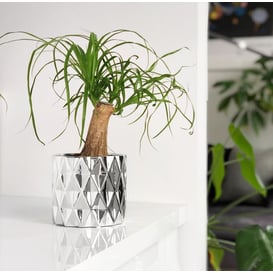 Slika 05.253.13 Posuda okruglog oblika - srebrna