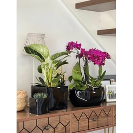 Slika 31.023.27  Posuda ovalnog oblika - crna