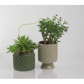 Slika 05.285.15 Posuda okruglog oblika - zelena