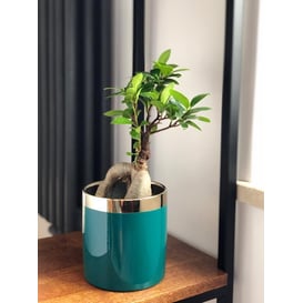 Picture of 31.135.13 Posuda okruglog oblika - zlatna/zelena