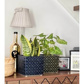 Picture of 07.128.14 Posuda četvrtastog oblika - tamno zelena