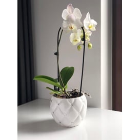 Slika 02.694.16 Posuda okruglog oblika - white