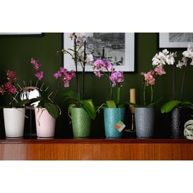 Slika 05.318.13 Posuda okruglog oblika - tirkizna