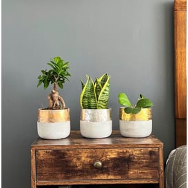 Slika 05.325.13 Posuda okruglog oblika  -siva/zlatna