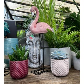 Slika 09.138.55 Flamingo - natural