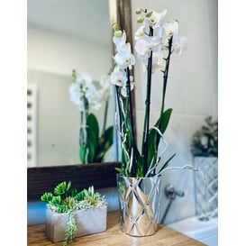 Slika 02.702.14 Posuda okruglog oblika - srebrna