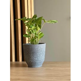 Slika 05.347.14 Posuda okruglog oblika - crna terrazzo