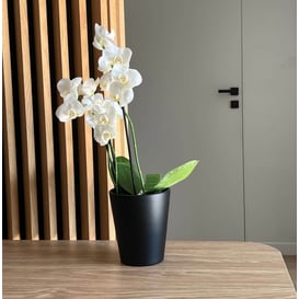 Slika ORCHID 71.082.13 