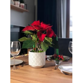 Picture of 05.249.14 Posuda u obliku cilindra - srebrna