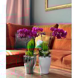 Slika 31.039.18 Posuda okruglog oblika - bijela