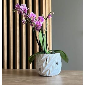 Slika 05.360.16 Posuda okruglog oblika - okrugla bijela