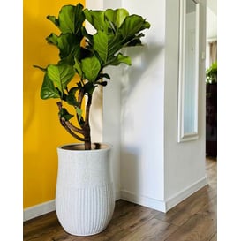 Slika 01.515. 47/50 Set od dvije posude okruglog oblika - krem (teraco)