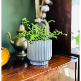 Slika 05.337.15 Posuda okruglog oblika - siva