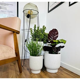 Slika 01.517. 24/27/30 Set od tri posude okruglog oblika - bijela (teraco)