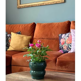 Slika 05.313.14 Posuda okruglog oblika - zelena