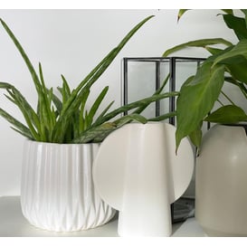 Slika 02.690.16 Posuda kružnog oblika - bijela