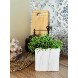 Slika 02.753.13 Posuda četvrtastog oblika - mramorno bijela