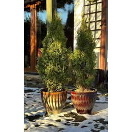 Picture of 79.015.25/30/37 Set od tri posude - smeđa