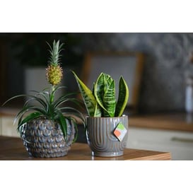 Slika VINTAGE 05.336.14