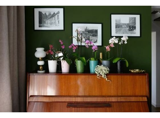 Slika 05.318.13 Posuda okruglog oblika - tirkizna