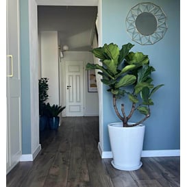 Slika 01.002. 26/32/38 Set od tri posude okruglog oblika sa podlogom - bijela