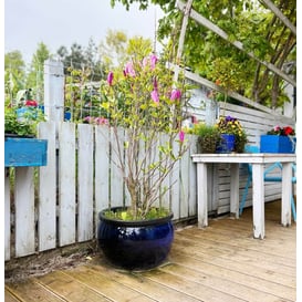 Slika 75.421.50 Niska posuda okruglog oblika - kobalt