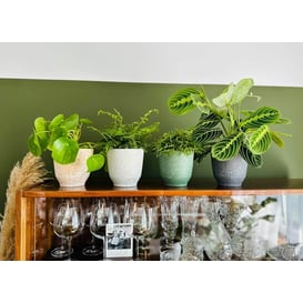 Slika 05.347.14 Posuda okruglog oblika - crna terrazzo