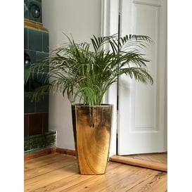 Slika 01.512. 57/61 Set od dvije posude četvrtastog oblika - zlatna