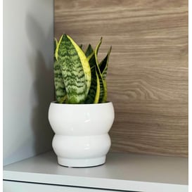 Slika 05.312.14 Posuda okruglog oblika - bijela 