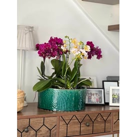 Slika 07.137.28 Niska posuda okruglog oblika - tirkizna