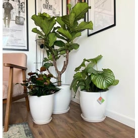 Slika 01.001. 26/31/38 Set od tri posude okruglog oblika sa podlogom - bijela