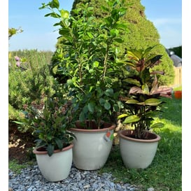 Picture of 79.301. 27/31/38 Set od tri posude - bijela