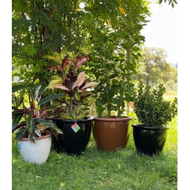 Slika 79.304. 27/31/38 Set od tri posude - crna